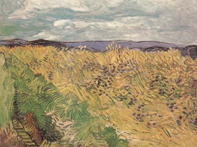 Whear Field with Cornflowers (nn04), Vincent Van Gogh